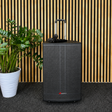 Audioport V15 altavoz activo portátil de 500 W con 2 micrófonos