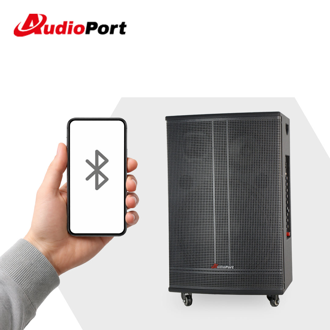 Audioport V15 altavoz activo portátil de 500 W con 2 micrófonos