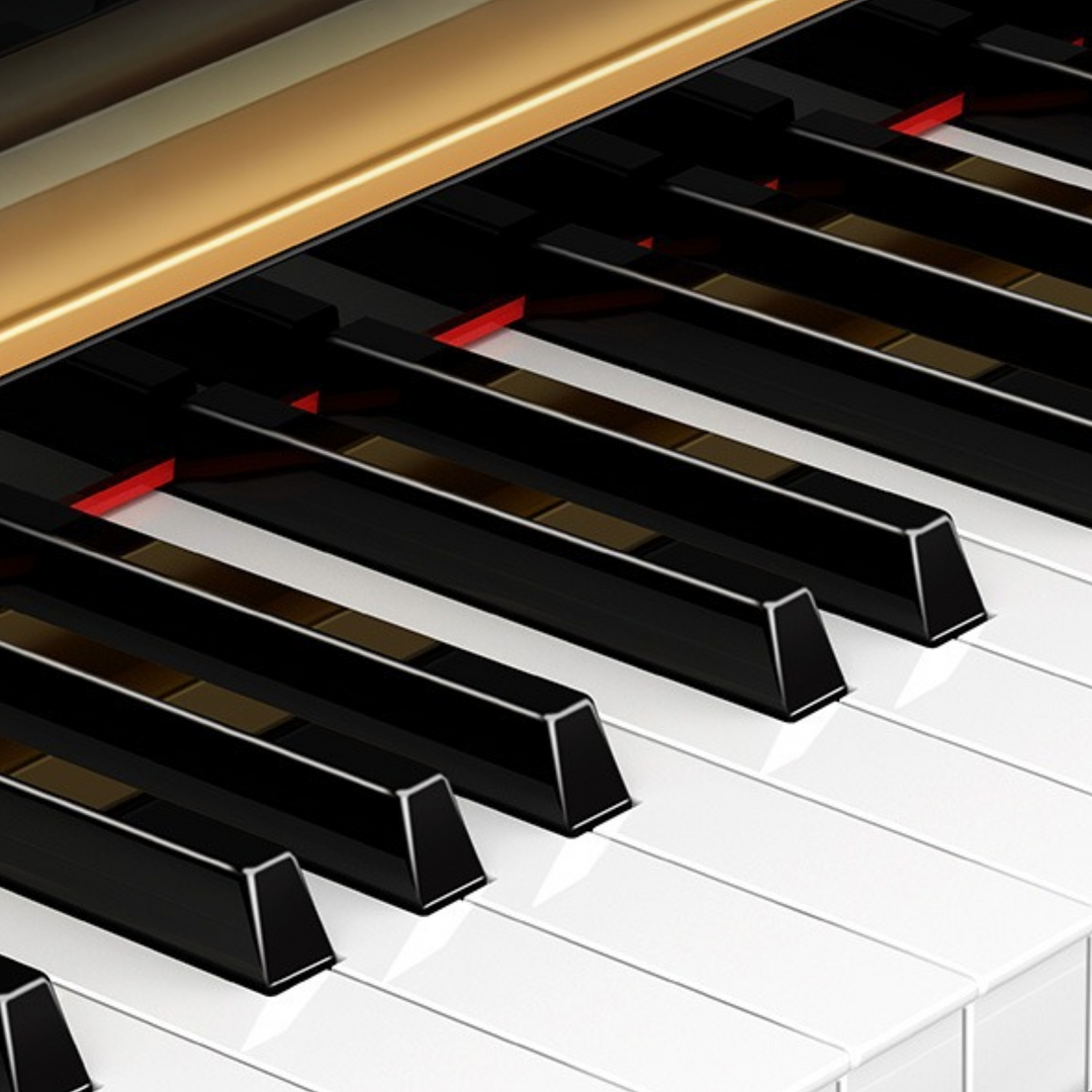 V-Tone BL-980 BK piano digital, negro
