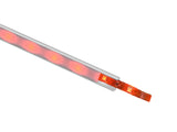 EUROLITE LED IP Strip 150 5m RGB 24V