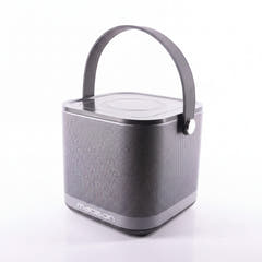 Madison Altavoz WiFi inalámbrico