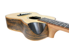 Reno RU380CE Concierto Ukeleles (Natur)