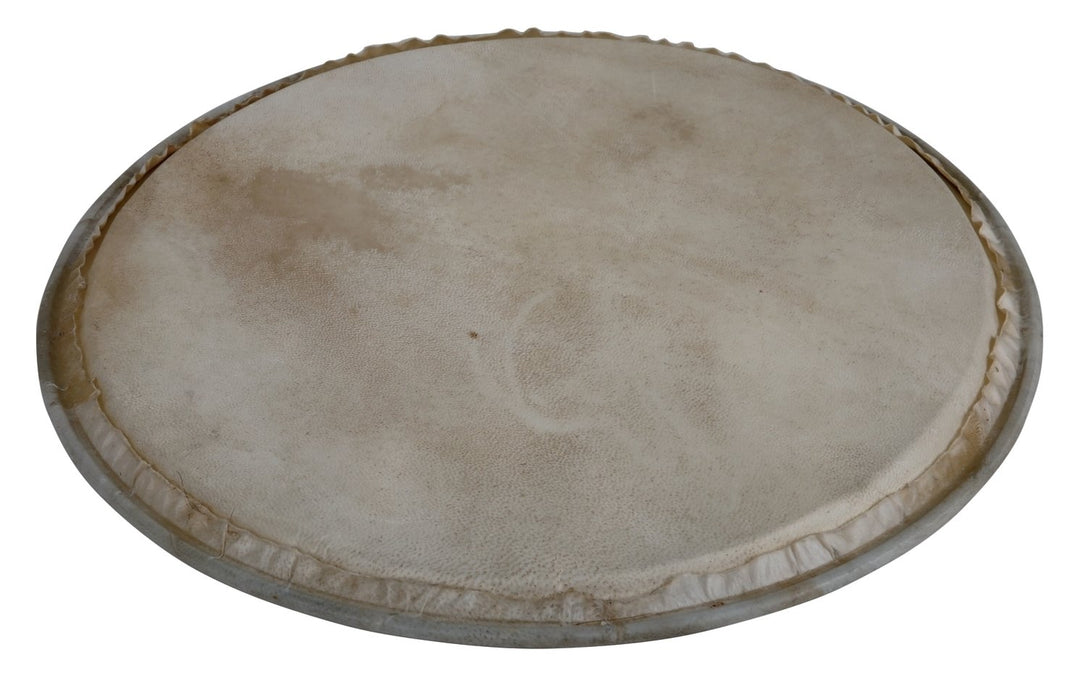 Latin Percussion Parche de Percusión Plenera - 12" (WB505C)