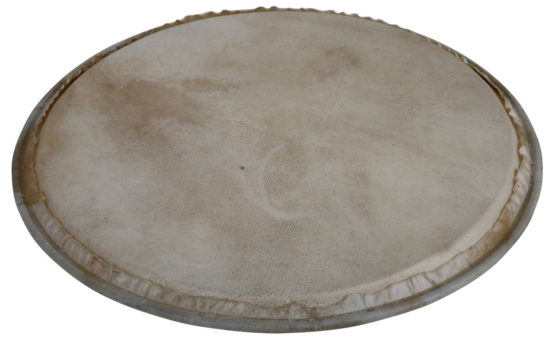 Latin Percussion Parche de Percusión Plenera - 8" (WB505A)