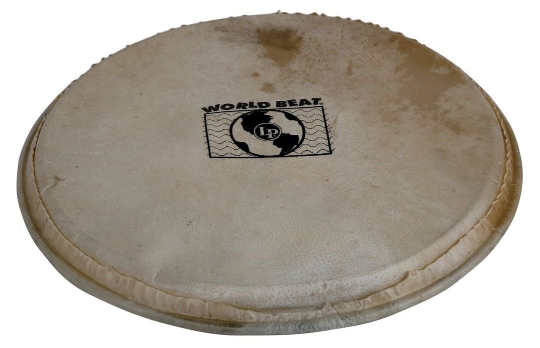 Latin Percussion Percusión head Plenera - 10" (WB505B)