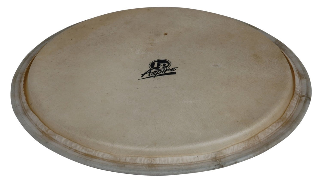 Latin Percussion Djembé parche Aspire - 12,5" piel de cabra (LPA630A)
