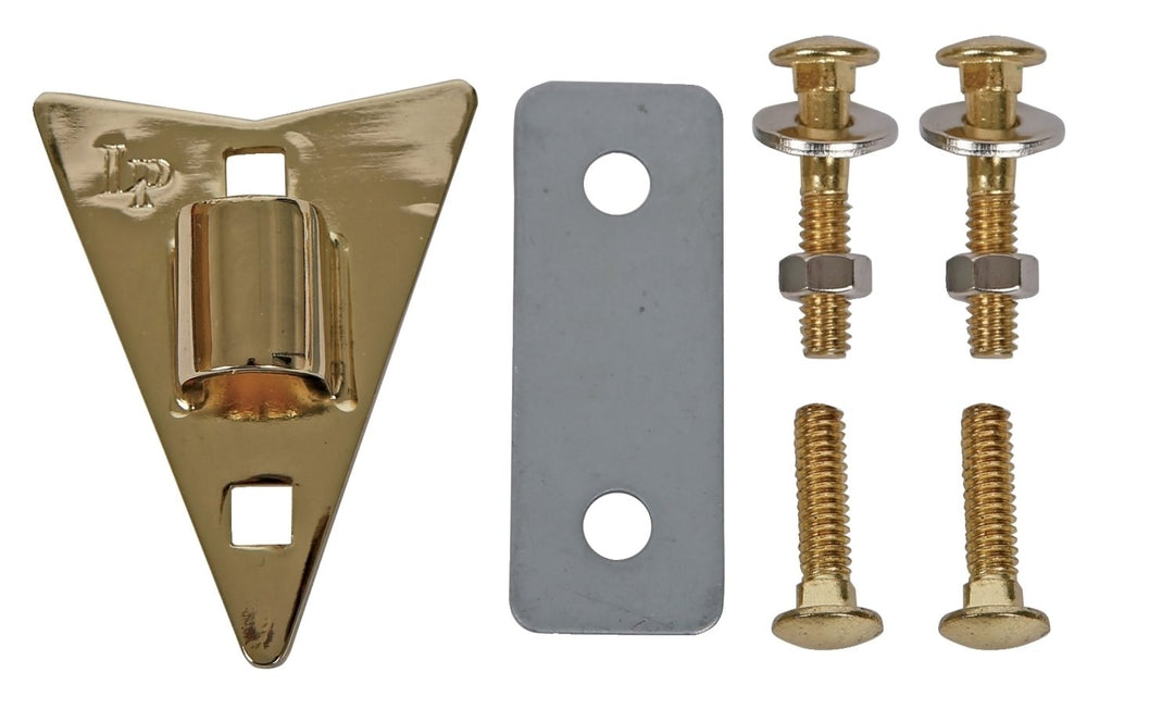 Latin Percussion Placa lateral Djembé LP702 LP702RG Richie Garcia - LP799X-AW LP797Z-AWG LP799X-AWC LP797Z-AWC Galaxy - LP-JRX Junior Congas - Gold (LP930B)