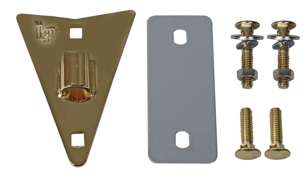 Placa lateral LPA423D para congas Aspire, Highline y City, dorada