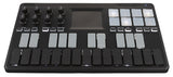 KORG nanoKEY-ST Controller USB Teclados
