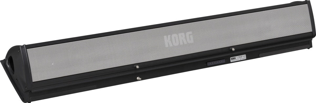 KORG PaAS MK2 - Sistema de amplificación