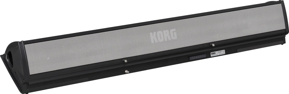 KORG PaAS MK2 - Sistema de amplificación