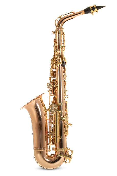 Roy Benson AS-202G saxofón alto en Eb, lacado