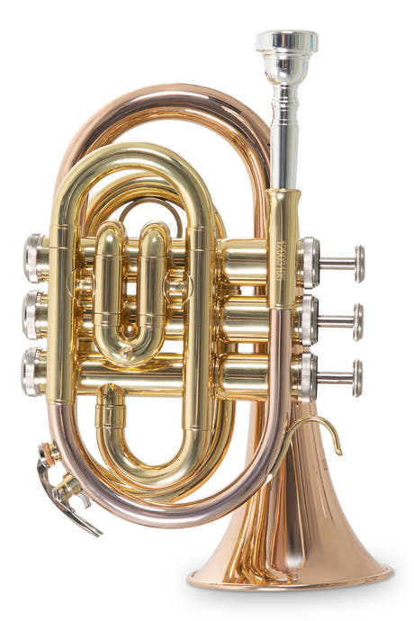 Roy Benson Bb-Pocket trumpet Roy Benson PT-101G - PT-101G