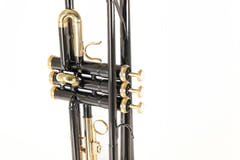 Trompeta en Bb Roy Benson TR-101K - TR-101K