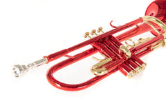 Roy Benson Bb-Trompeta Roy Benson TR-101R - TR-101R