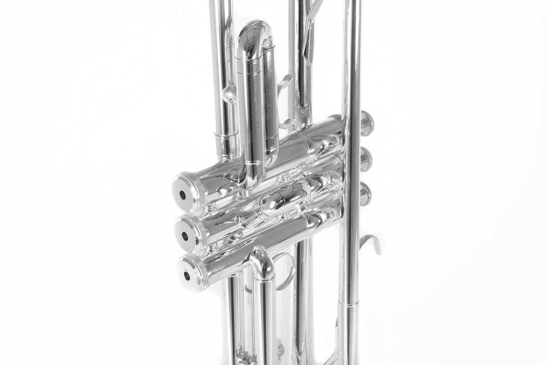 Roy Benson Trompeta Bb Roy Benson TR-202S - TR-202S