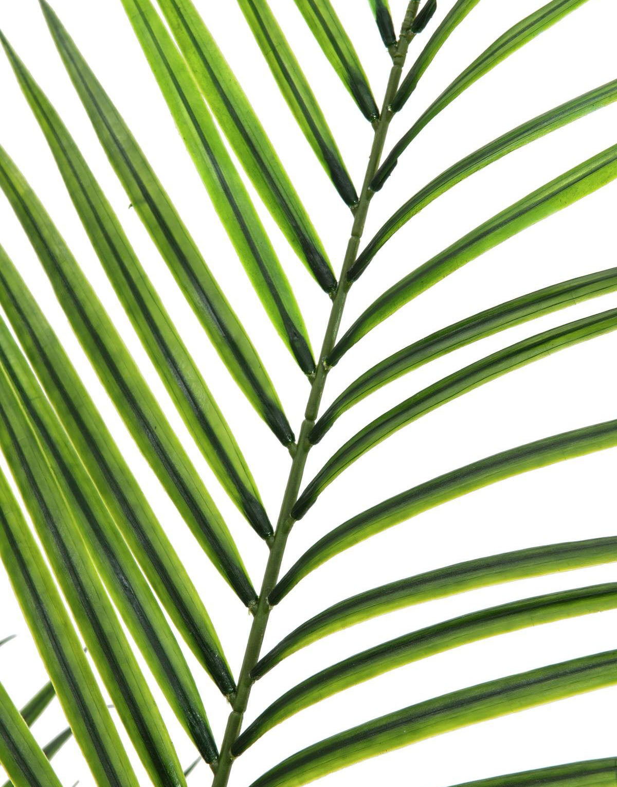 Artificial Areca palm with large leaves, 165cm