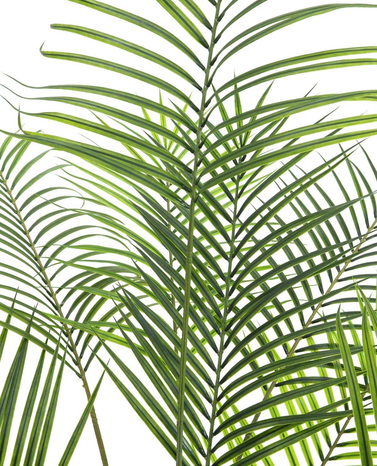 Artificial Areca Palm with large leaves, 185cm