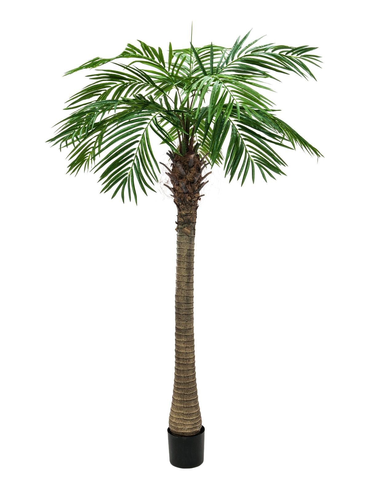 Artificial Phoenix Palm tree Luxor, 210cm