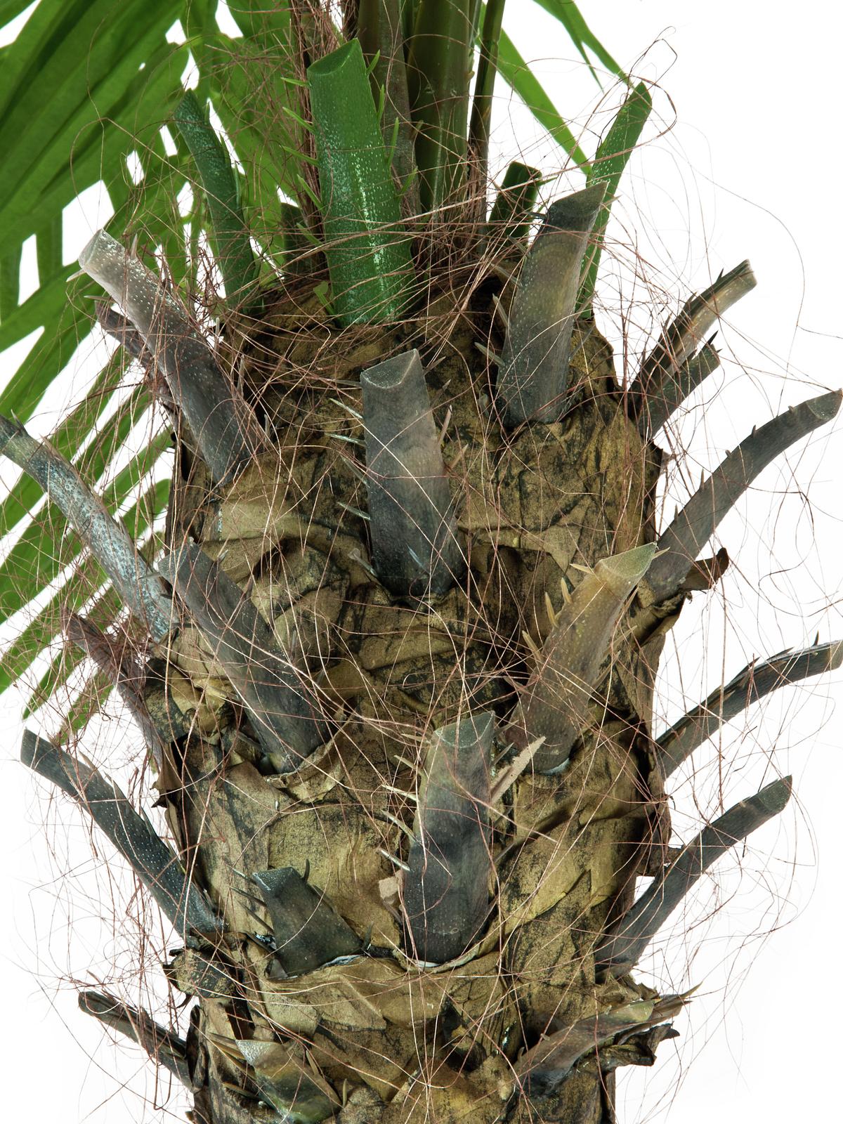 Artificial Phoenix Palm tree Luxor, 210cm