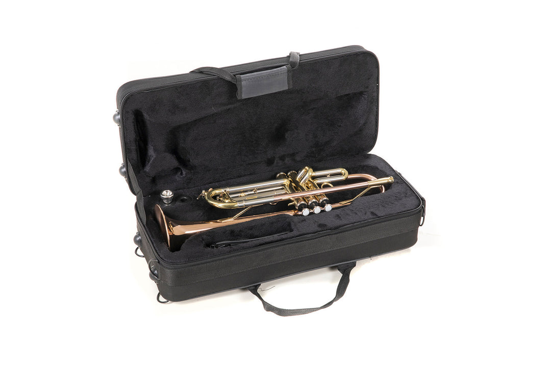 Roy Benson Trompeta en Bb Roy Benson TR-202G - TR-202G