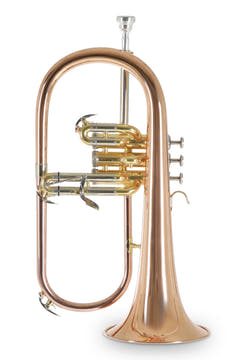 Roy Benson Fliscorno en Sib Roy Benson FH-302G - FH-302G