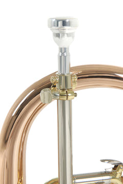 Roy Benson Fliscorno en Sib Roy Benson FH-302G - FH-302G
