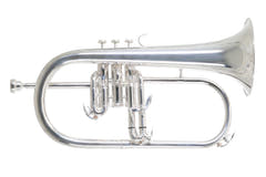 Fliscorno en Bb Roy Benson Roy Benson FH-302S - FH-302S