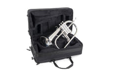 Fliscorno en Bb Roy Benson Roy Benson FH-302S - FH-302S