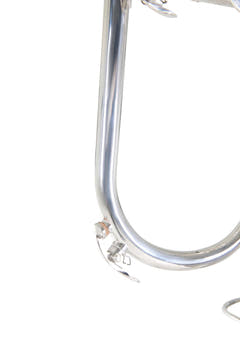 Fliscorno en Bb Roy Benson Roy Benson FH-302S - FH-302S