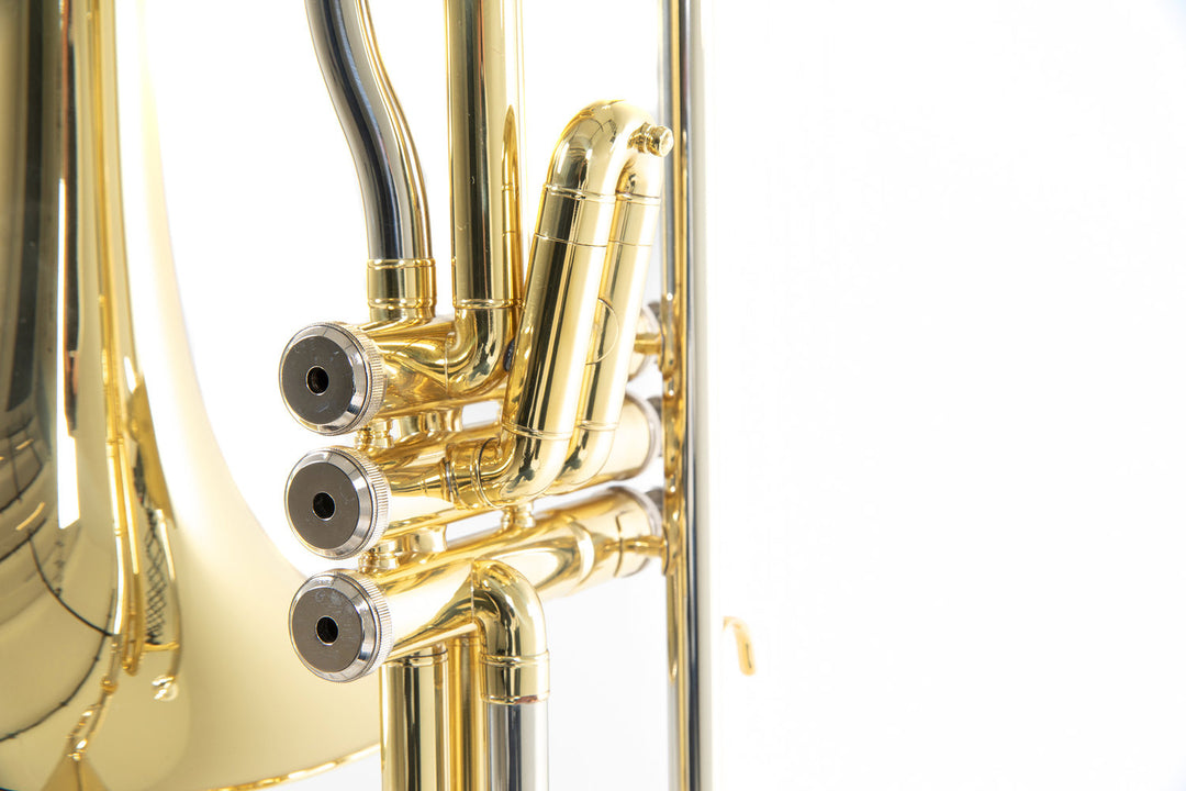 Roy Benson Trombón de válvulas Bb Roy Benson VT-227 - VT-227