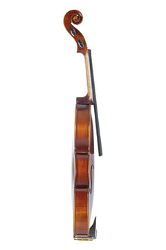 GEWA Allegro violines 1/2, sin ajustar, con estuche moldeado