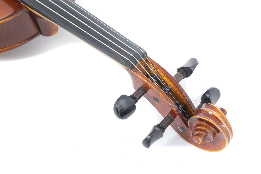 GEWA Violines Allegro - 4/4 para zurdos (Listo para tocar, asegurado para el transporte)