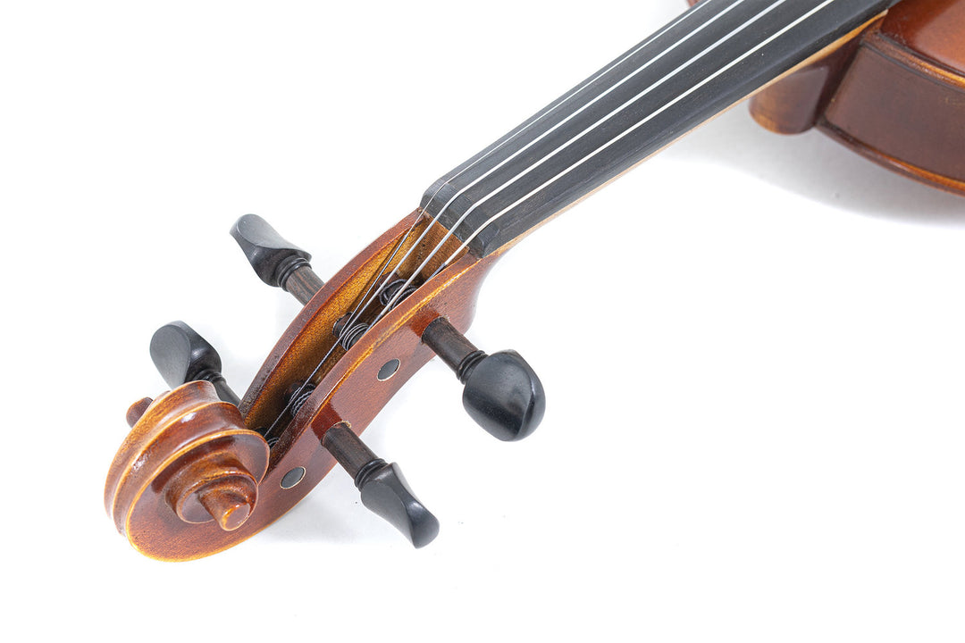 GEWA Violines Allegro - 4/4 (Listo para tocar incl. estuche de violín, sin arco, con cuerdas Larsen Aurora)