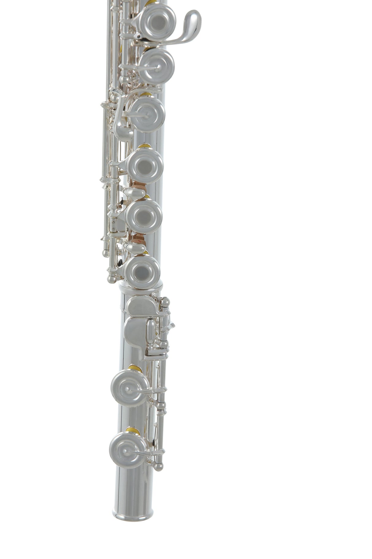 Roy Benson Flute Roy Benson FL-602RE - FL-602RE
