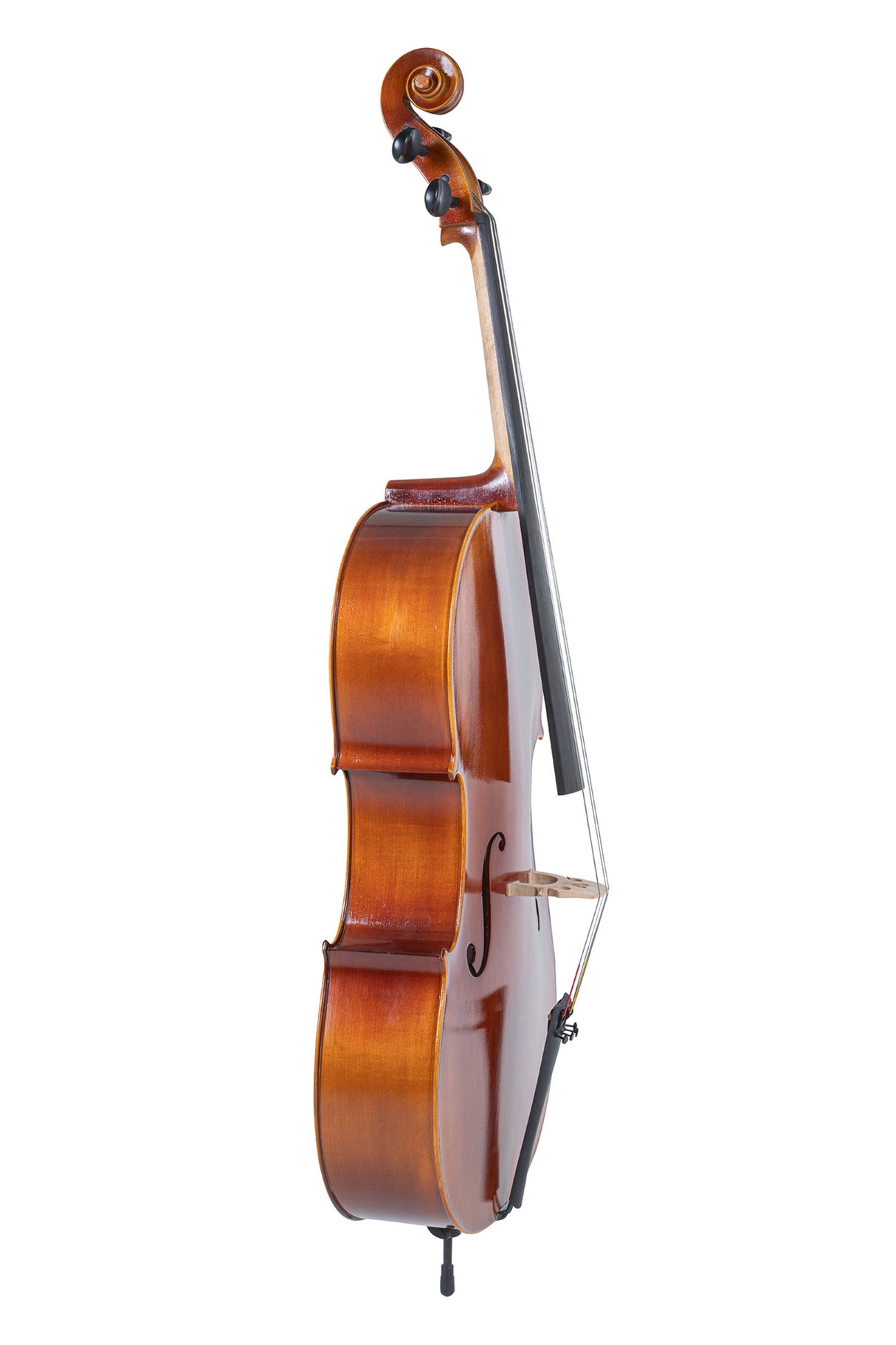GEWA Cello Allegro - 4/4 (Ready to play incl. bag, Massaranduba bow, Larsen Aurora strings)