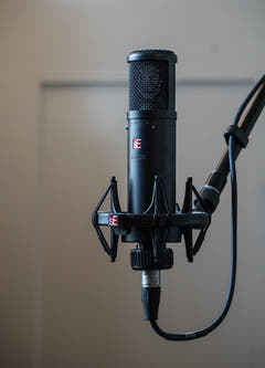 sE Electronics sE2200 Micrófono de Condensador de Estudio