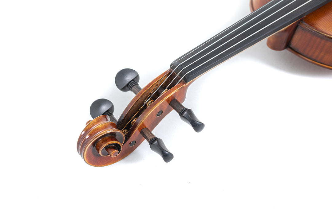 GEWA Violines Maestro 2 - 3/4 (Listo para tocar incl. estuche de violín, sin arco, con cuerdas Larsen Aurora)