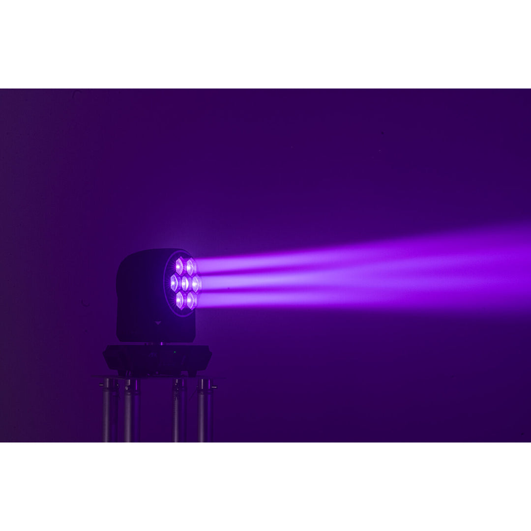 AFX BEE Dream Bee-Eye Cabezas Móviles (7x60 Watt)