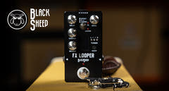 Black Oveja Black Sheep FX Looper