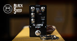 Black Oveja Black Sheep FX Looper