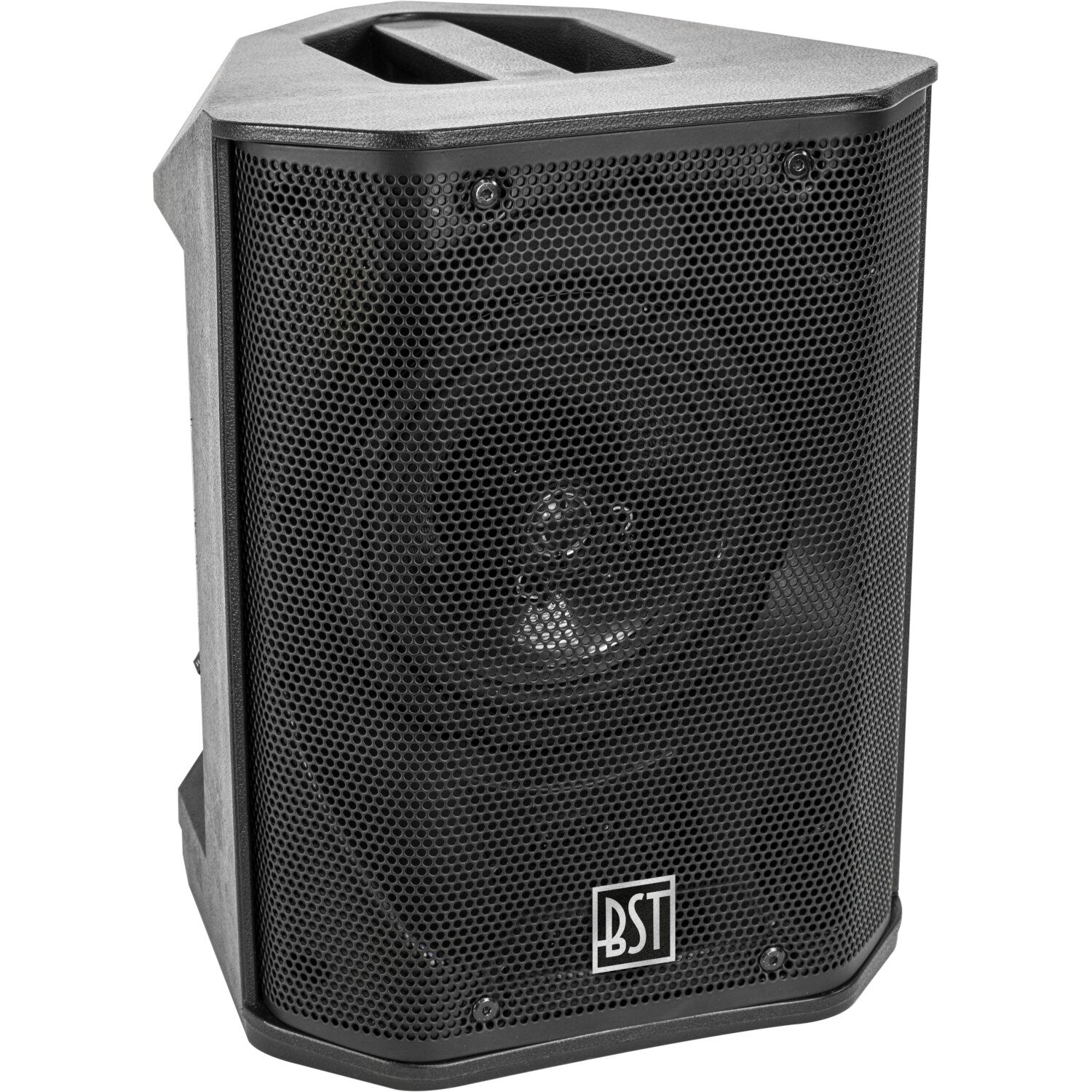 BST 6.5" Battery Speaker with Mixer (60W)