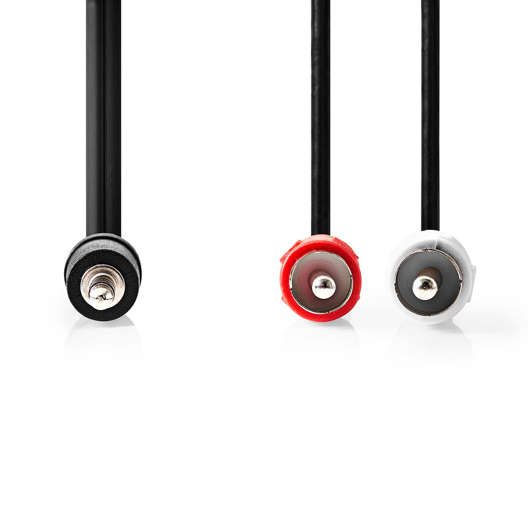 Cable adaptador Minijack a RCA Phono (2m)