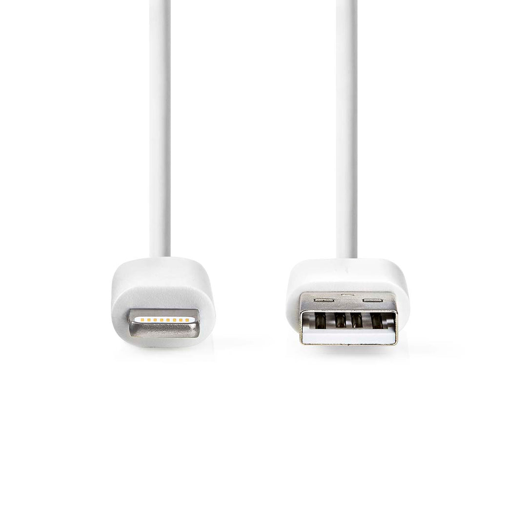 Cable USB a Lightning (2m)
