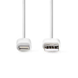 USB to Lightning Cable (2m)