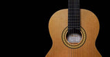 Pearl River CL20 guitarra clásica