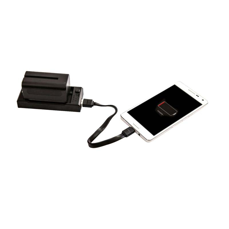 Nanlite CN-58 2-1 Cargador para baterías tipo NP
