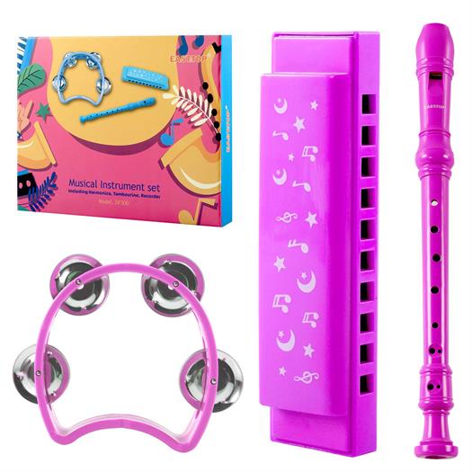 Set de Harmónicas, flauta dulce y pandereta en rosa.