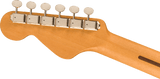 Fender Highway Series Western (Nature)