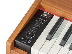 Grooveland DDP-140 El Klaver (Oscuro) Bundle